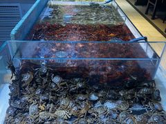 -聚盛源蒸汽海鲜火锅烤肉自助(巨川金海岸购物广场店)