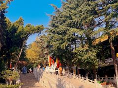 -湛山寺
