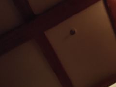 -李缘堂(阳光家园店)