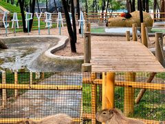 -南戴河国际娱乐中心