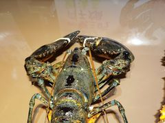 -79号渔船海鲜饭店(华强北店)