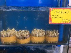 -蚝专家(北滘店)