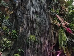 -正佳雨林生态植物园