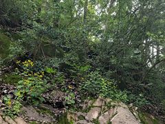 -重庆平顶山公园