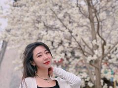 -护国法轮寺