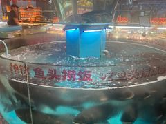 -魏铭鱼头捞饭(晋阳路店)