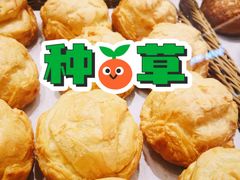 原味抹茶泡芙-西树泡芙(蓝色港湾店)