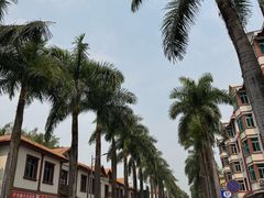 -孔雀湖生态旅游区