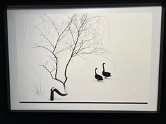 -罗红摄影艺术馆