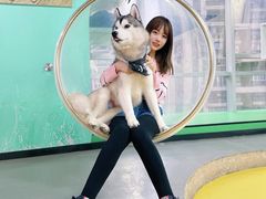 -Husky Go! 哈士奇体验馆·宠物咖啡厅狗咖