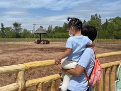 -鄂尔多斯野生动物园