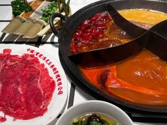 -朱光玉火锅馆(正弘城店)