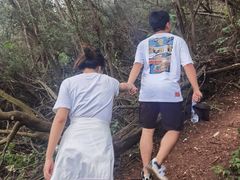 -长虫山生态公园风景林
