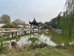 -苏州上方山国家森林公园