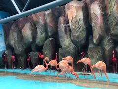 -哈尔滨极地公园