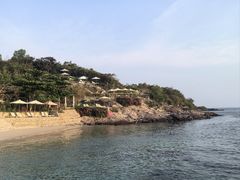 -珊瑚岛