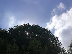 -东南大学(九龙湖校区)
