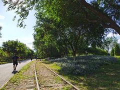 -永定河休闲森林公园