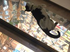 -猫的天空之城概念书店(杭州南宋御街店)