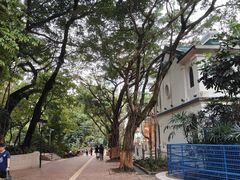 -九龙公园