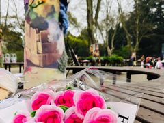 -上海共青森林公园