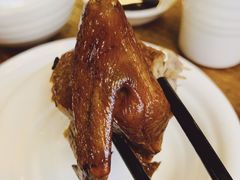 -百利鸽王(紫薇路店)
