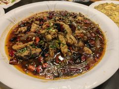 -龙翔山庄雷鸡肉(青城后山泰安古镇店)