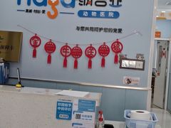 -纳吉亚猫专科动物诊疗中心(蒋宅口分院)