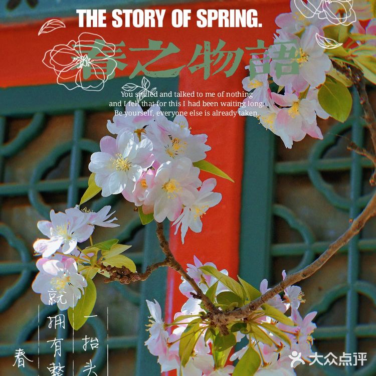 🌸京城赏花攻略|北土城地铁口,让你免费拥抱海棠花海🌷