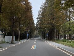 -日照海滨国家森林公园
