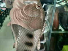 -Dr.t茶博士(广技师店)