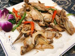 炸小鱼-新泰和人家(金澄天地花园店)