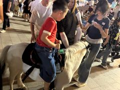 -特克斯八卦城