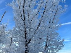 -中旅松花湖滑雪场