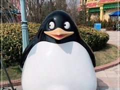 -上海海昌海洋公园
