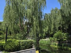 -兰溪青年公园