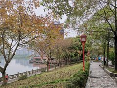 -眉山湿地公园(东坡区)