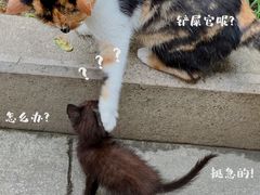 -西园寺