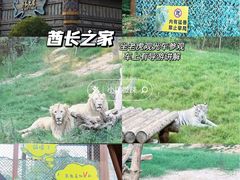 -郑州银基国际旅游度假区