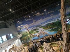 -自贡恐龙博物馆