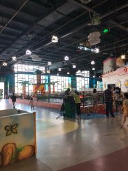 -维佳童话镇演出现场(徐东店)