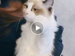 -零纪元VR体验馆·桌游(黄浦店)