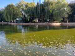 -团结湖公园