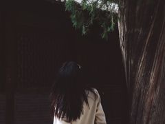 -仓颉庙