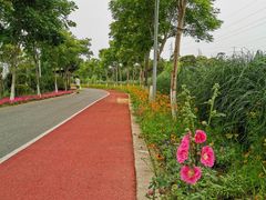 -上海长兴岛郊野公园