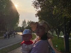 -洋湖国家湿地公园