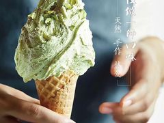 -野人先生现做冰淇淋(西安赛格店)