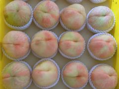 -老袁家蜜桃农场·阳山水蜜桃