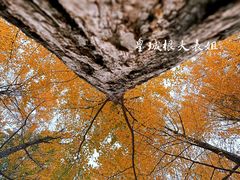 -北坞公园