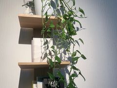-瓦舍茶馆(聚源路店)